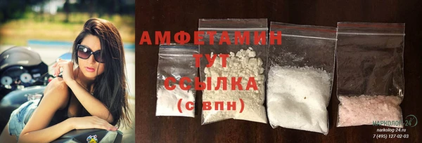 гидра Елабуга